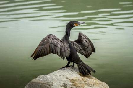 lugares de interes comprimido